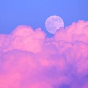 Meet your Posher, Ashanti